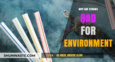 The Hidden Environmental Impact of Plastic Straws: A Wake-Up Call