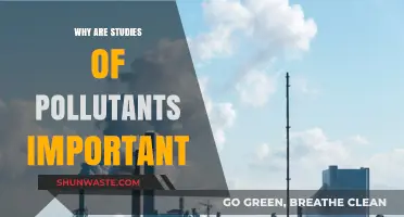Understanding Pollutants: Why Researching Environmental Contaminants Matters for Our Future