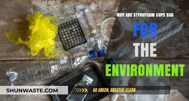 Styrofoam Cups: Environmental Hazards and Sustainable Alternatives Explained