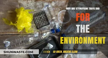 Styrofoam Trays: Environmental Hazards and Sustainable Alternatives Explained
