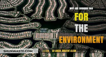 Suburban Sprawl: Environmental Impacts and Unsustainable Living Patterns