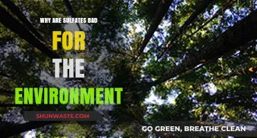 Sulfates' Environmental Impact: Harmful Effects and Sustainable Alternatives