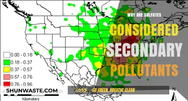 Understanding Sulfates: Their Role as Secondary Pollutants in the Environment