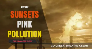 Pink Pollution: How Air Quality Paints Our Sunsets