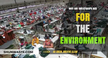 Sweatshops' Environmental Impact: Exploitation, Pollution, and Unsustainable Practices Explained