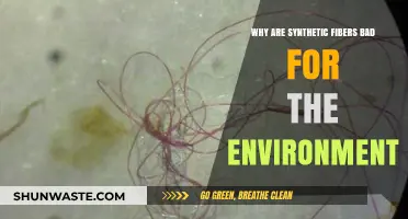 Synthetic Fibers' Environmental Impact: Pollution, Waste, and Ecosystem Threats