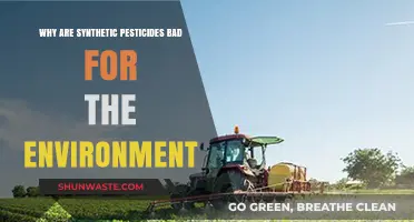 Synthetic Pesticides: Environmental Hazards and Sustainable Alternatives Explained