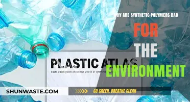 Synthetic Polymers' Environmental Impact: Harmful Effects and Sustainable Alternatives