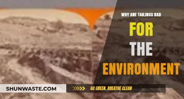 Tailings' Toxic Legacy: Environmental Impacts and Sustainable Solutions