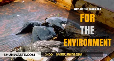 Tar Sands' Devastating Environmental Impact: Pollution, Deforestation, and Climate Crisis