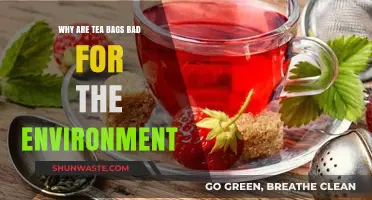 Tea Bags' Hidden Environmental Impact: Uncovering the Eco-Unfriendly Truth