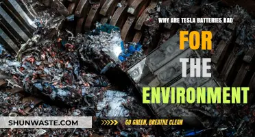 Tesla Batteries' Environmental Impact: Uncovering the Hidden Ecological Costs