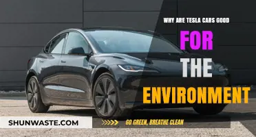 Tesla's Eco-Friendly Impact: How Electric Vehicles Benefit Our Planet