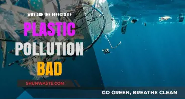 Devastating Impacts of Plastic Pollution on Our Environment and Health