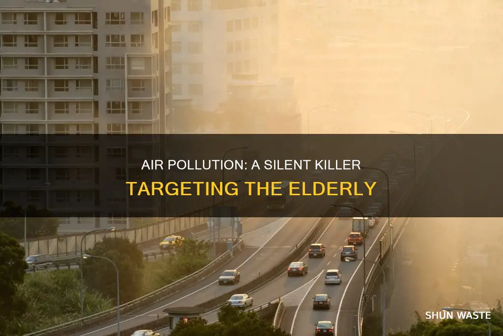 why are the elderly vulnerable air pollution