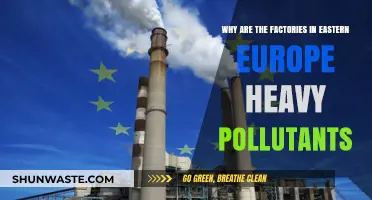 Eastern Europe's Factories: Uncovering the Causes of Severe Pollution
