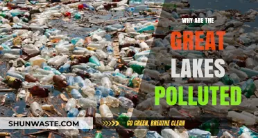 Unveiling the Causes of Great Lakes Pollution: A Deep Dive