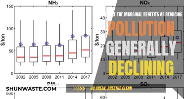 Reducing Pollution: Marginal Benefits and Declining Returns