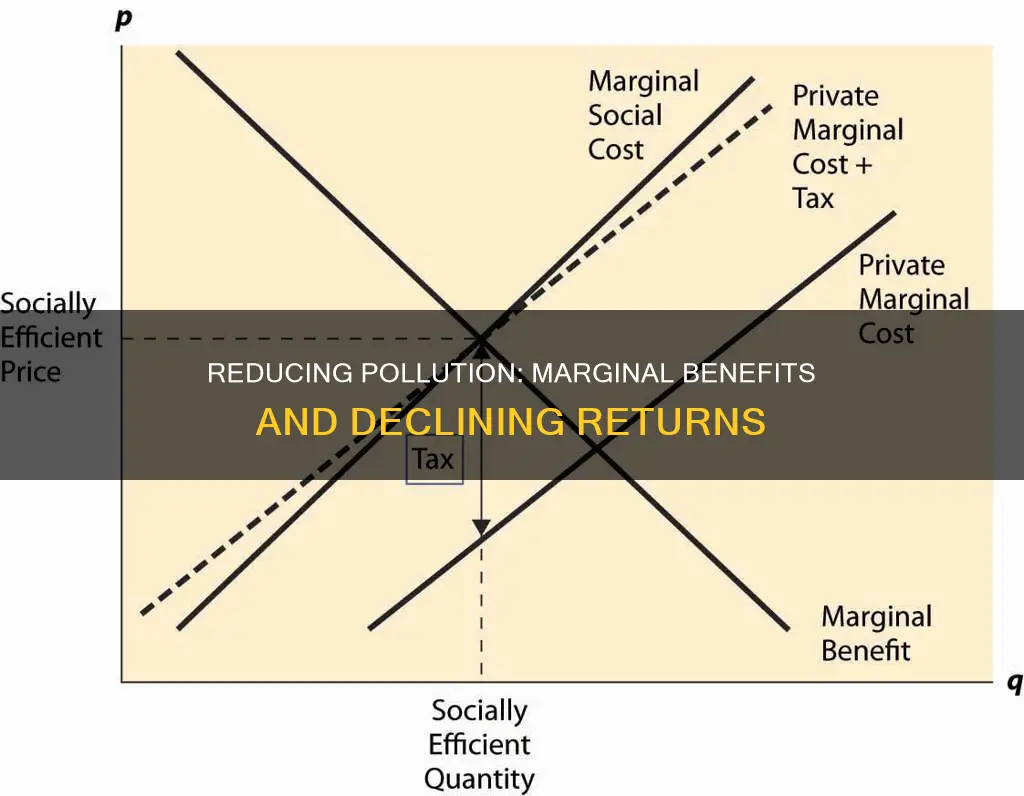 why are the marginal benefits of reducing pollution generally declining