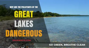 The Hidden Dangers of Great Lakes Pollutants: A Threat Unveiled