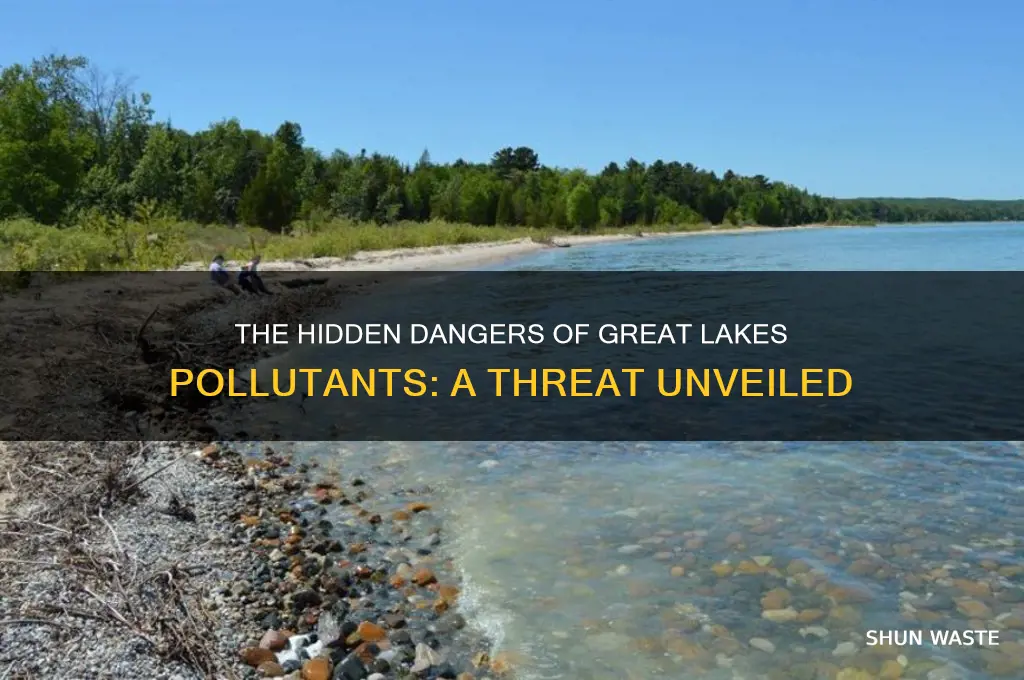 why are the pollutants of the great lakes dangerous
