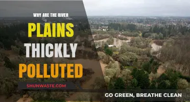 River Plains Pollution Crisis: Causes and Environmental Consequences Explained