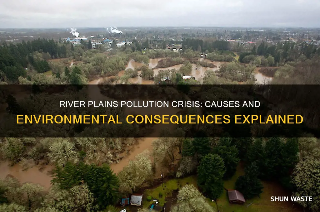 why are the river plains thickly polluted