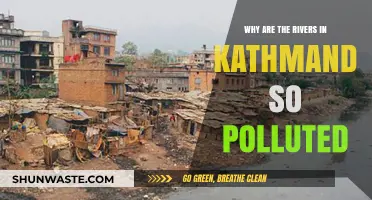 Kathmandu's Rivers: Unraveling the Causes of Severe Pollution Crisis