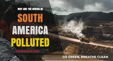 South America's Rivers: Uncovering the Causes of Pollution Crisis