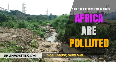 South Africa's River Crisis: Causes of Widespread Water Pollution