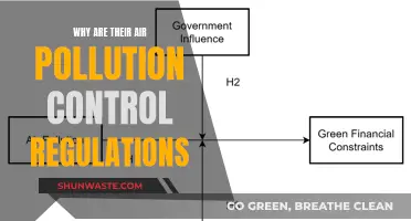 Air Pollution Control: Regulations for a Sustainable Future