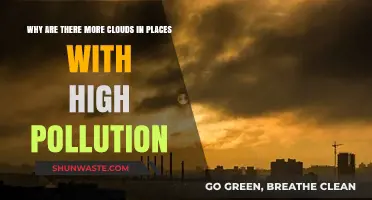 Pollution's Cloudy Impact: Unveiling the Smog-Sky Connection
