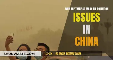China's Air Pollution Crisis: Causes and Effects