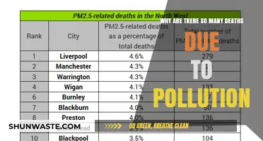 Deadly Air: Uncovering the Alarming Toll of Pollution-Related Deaths