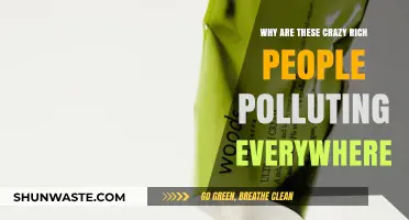 Wealth's Dark Side: How the Ultra-Rich Fuel Global Pollution