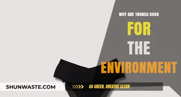 Eco-Friendly Undies: How Thongs Reduce Waste and Save Resources