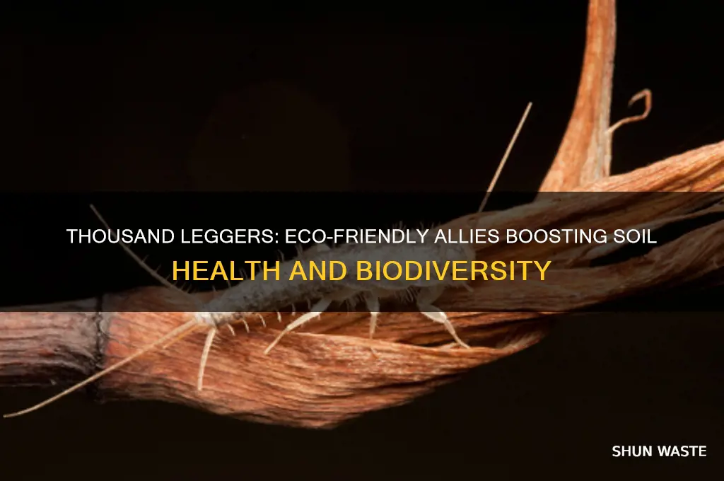 why are thousand legers good for environment