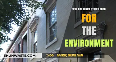 Thrift Stores: Eco-Friendly Shopping for a Sustainable Future