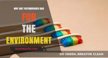 Eco-Unfriendly Brushing: How Toothbrushes Harm Our Planet