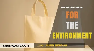 The Hidden Environmental Impact of Reusable Tote Bags