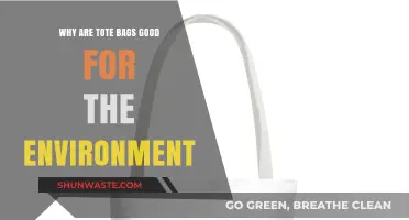 Eco-Friendly Tote Bags: Sustainable Choice for a Greener Planet