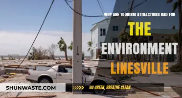 Environmental Impact of Tourism Attractions in Linesville: A Growing Concern