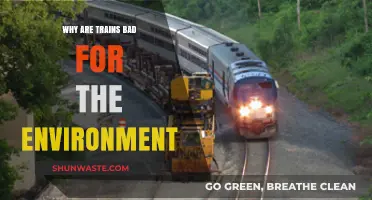 Trains' Environmental Impact: Uncovering Hidden Costs of Rail Transportation