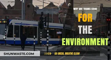 Eco-Friendly Transit: How Trams Reduce Carbon Footprints and Promote Sustainability