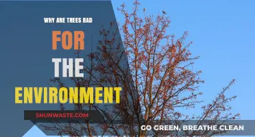 The Surprising Environmental Downsides of Trees: Myths vs. Reality