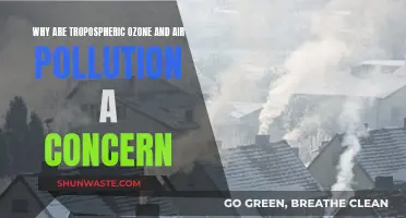 Ozone's Impact: Air Pollution's Threat to Our Atmosphere