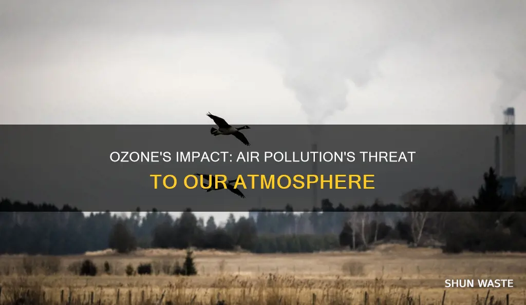 why are tropospheric ozone and air pollution a concern