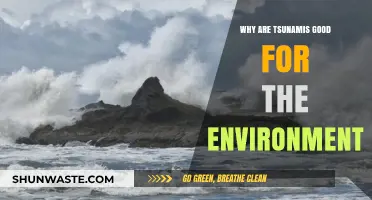 Tsunamis' Surprising Ecological Benefits: A Natural Reset for Coastal Ecosystems