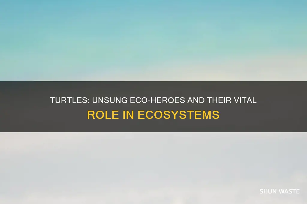 why are turtles good for the environment