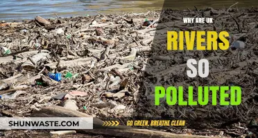 UK Rivers in Crisis: Uncovering the Causes of Severe Pollution